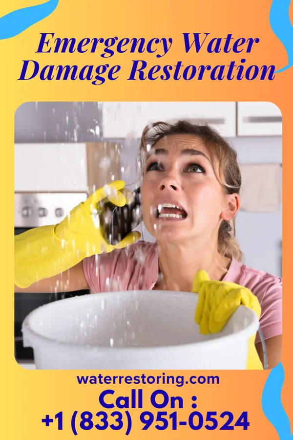 Emergency Water Damage Restoration in Cherry, IL