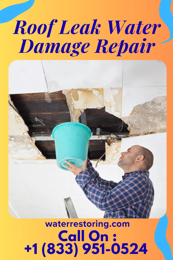 Roof Leak Water Damage Repair in Cherry, IL