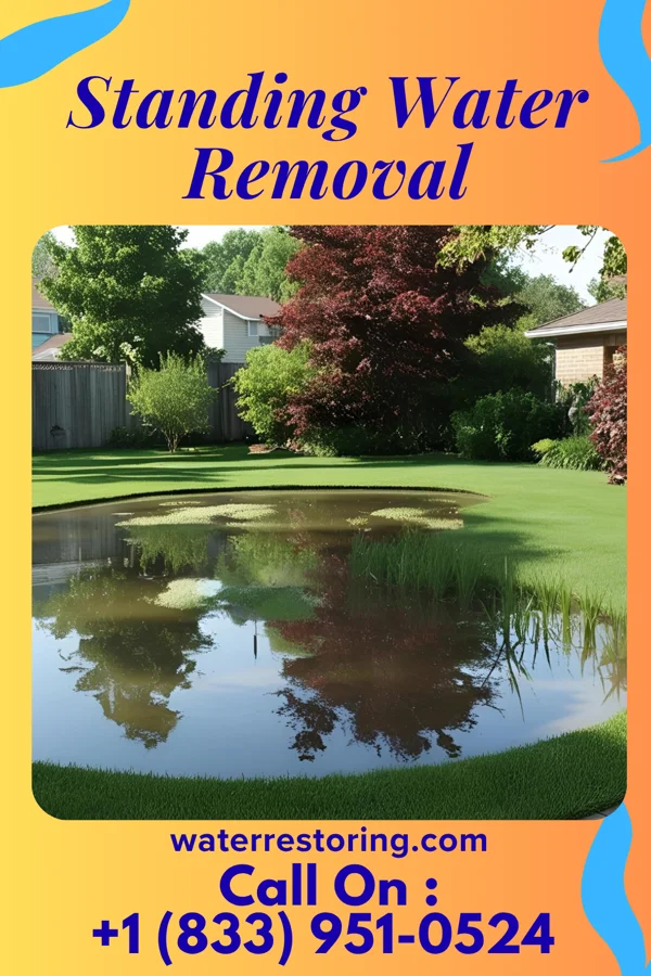 Standing Water Removal in Cherry, IL
